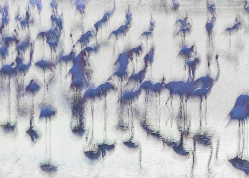 Impressions sensorielles | Papier Peint Photo