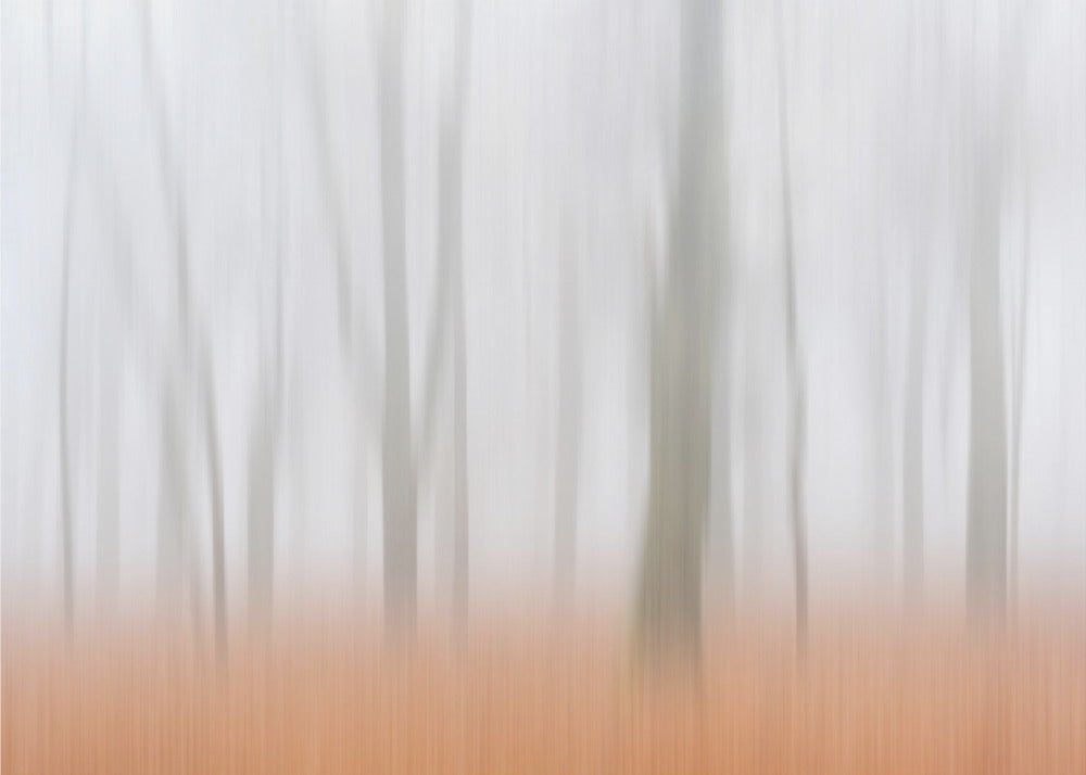 Misty Autumnimpression | Canvas
