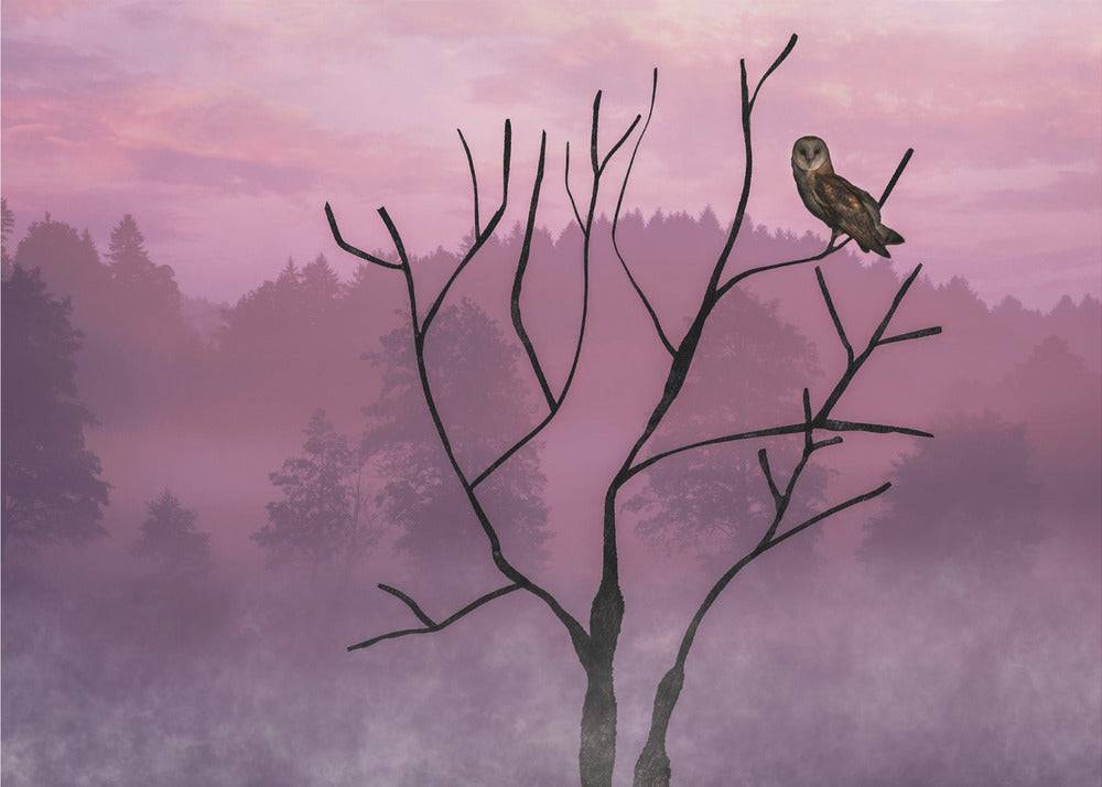 Rosa himmel på morgonen | Canvas