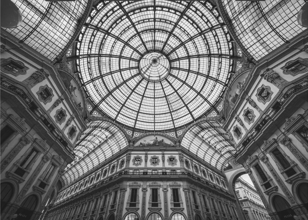 Incontri ravvicinati | Carta da Parati Fotografica