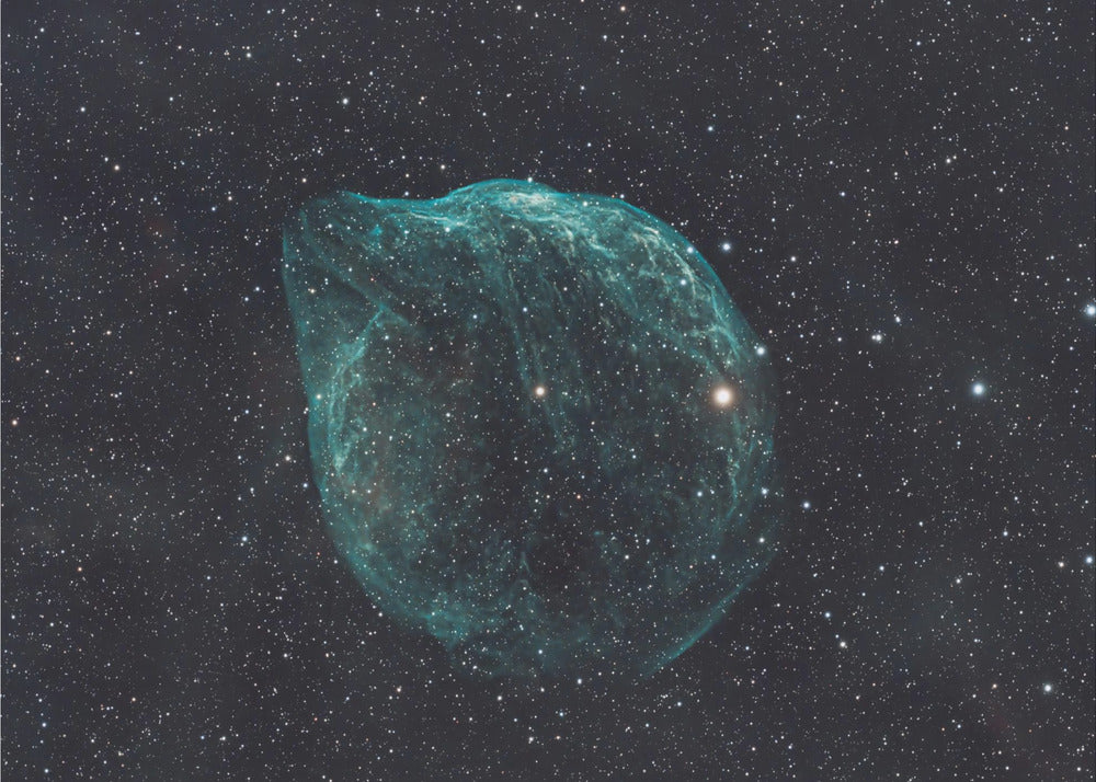 DELPHINNEBEL - SHARPLESS 2-308 | Fototapeten