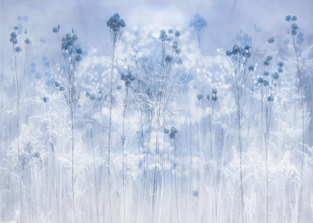 Eisblau | Fototapeten
