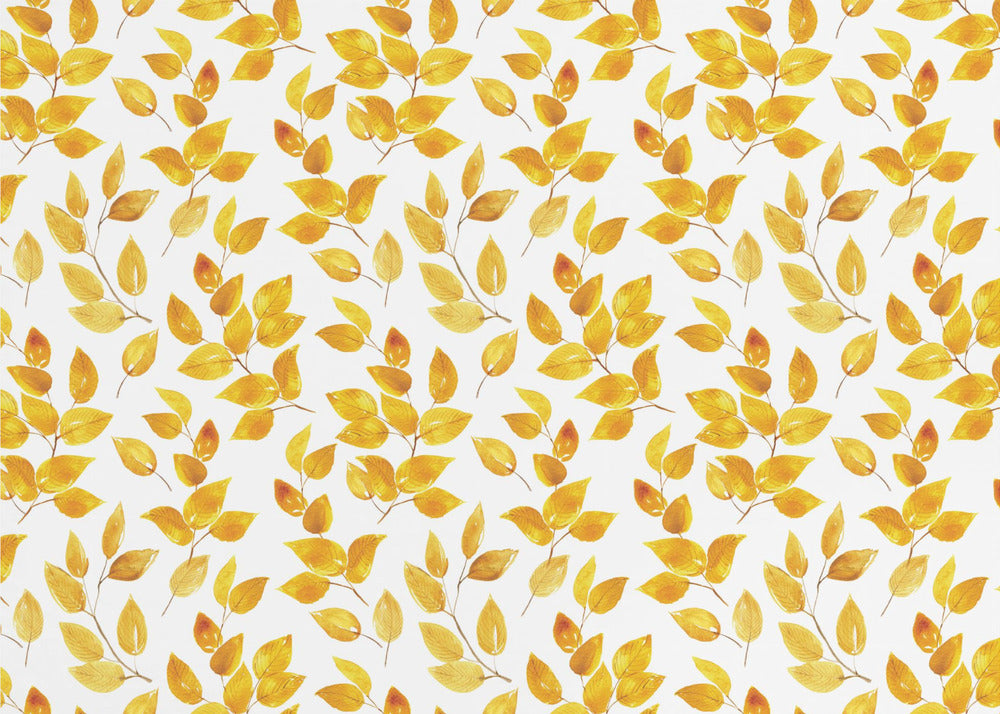 Hojas curvas | Papel Pintado Fotográfico