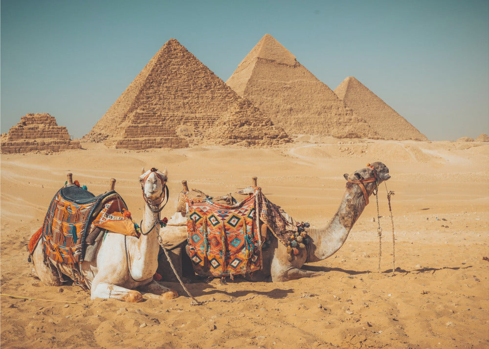 Visit to the pyramids | Canvas