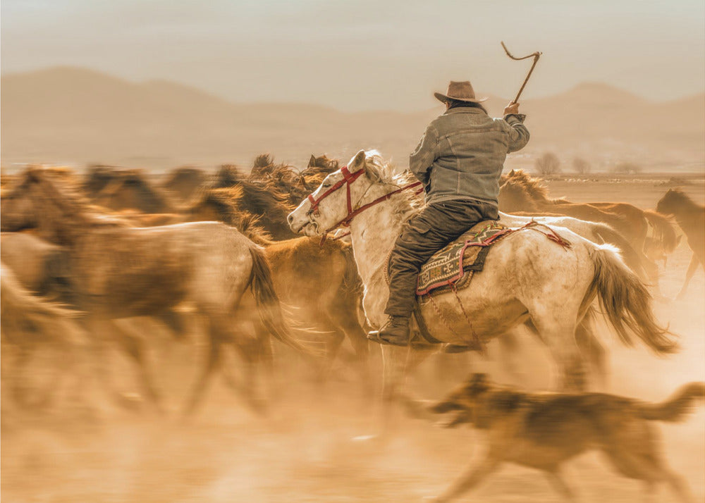 Caballos salvajes (también conocidos como Wild Horses) | Impresiones en Lienzo