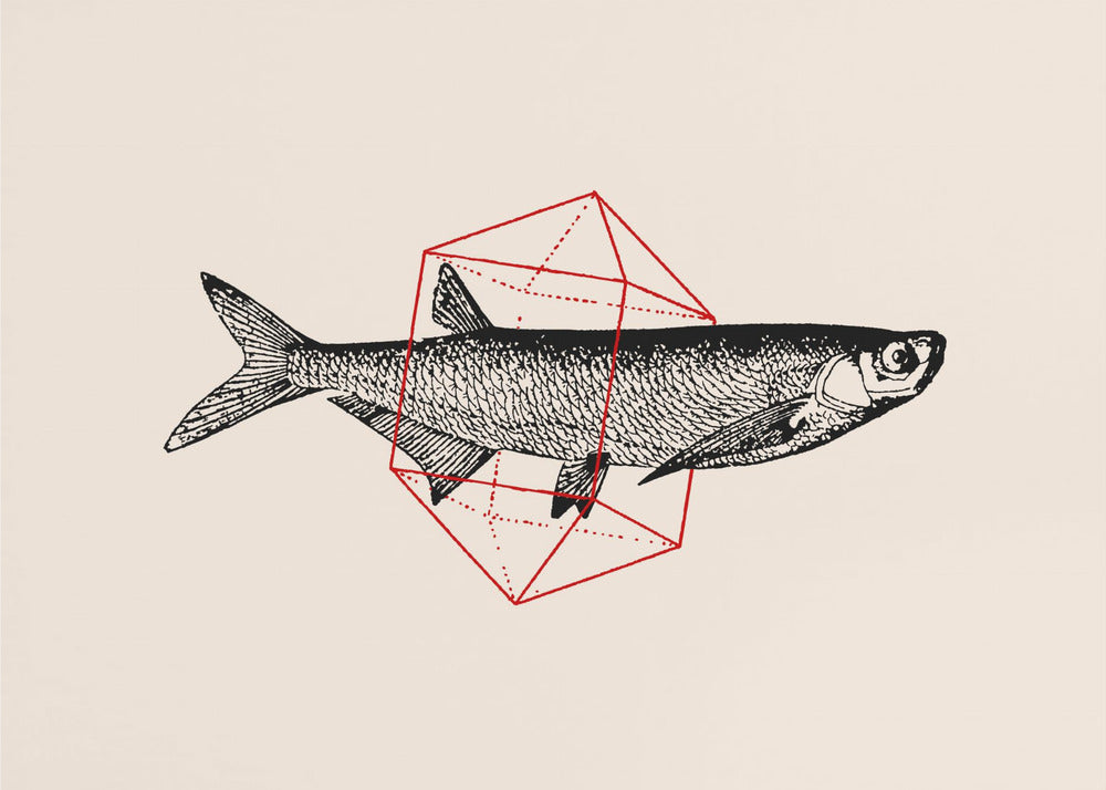 Fisk i geometri nr 2 | Poster