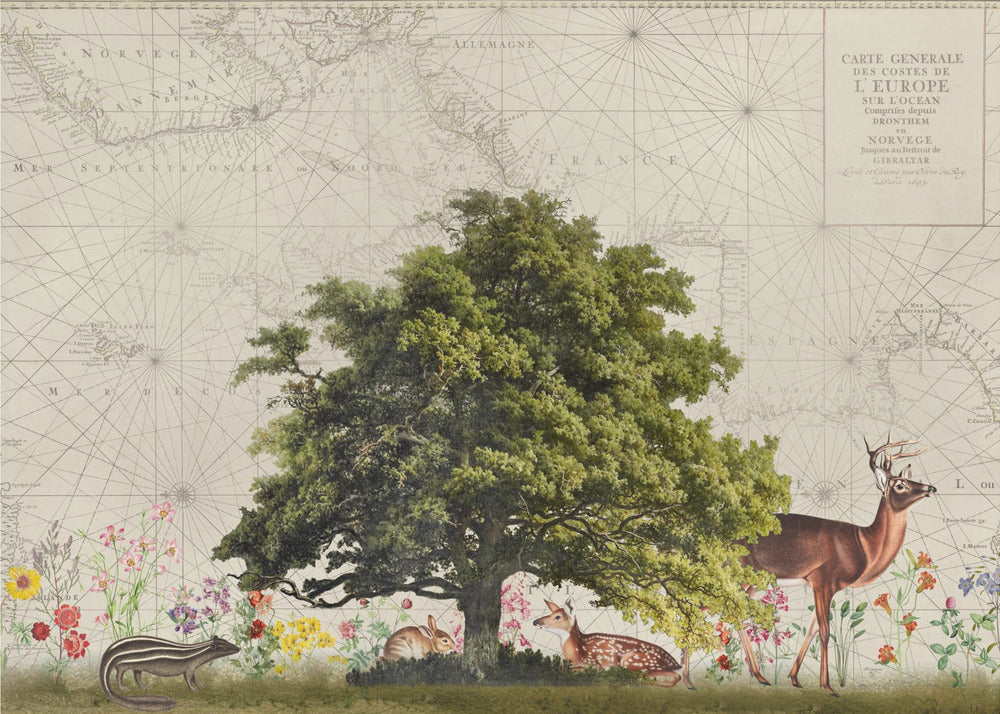 Bosques nórdicos n.º 2 | Papel Pintado Fotográfico
