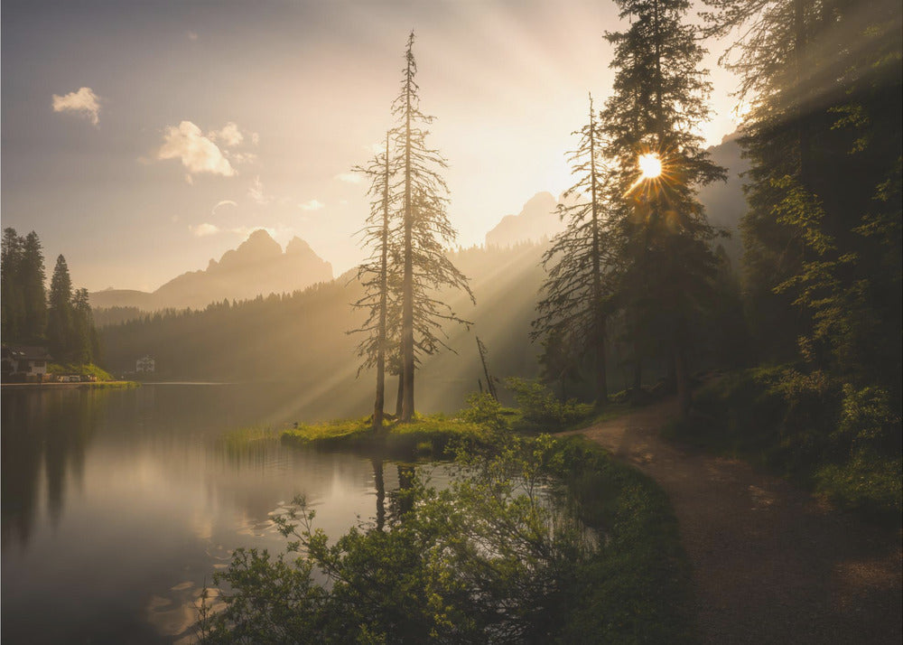 Morgenlys | Fototapeter