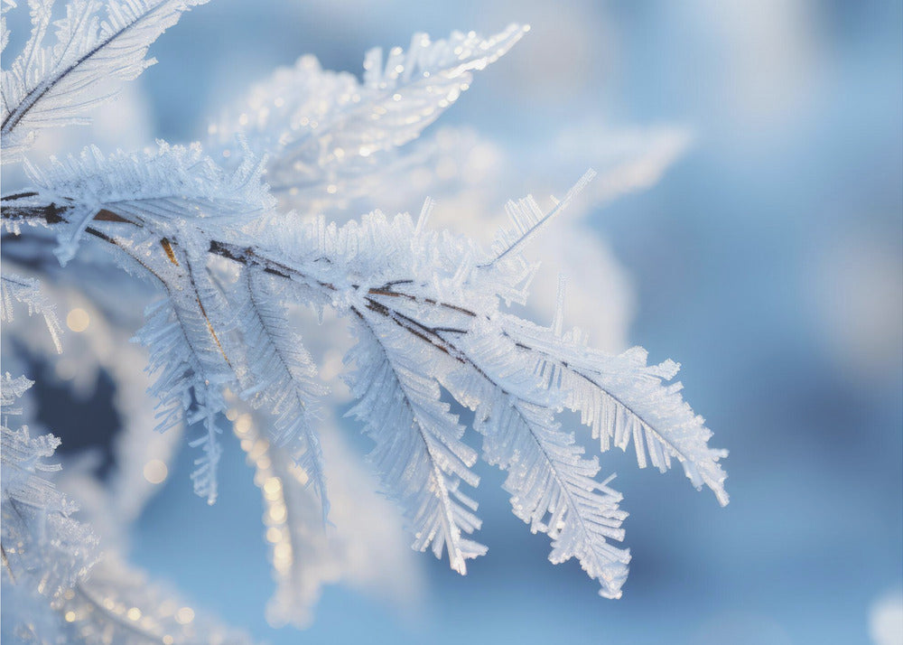 Impressioni invernali n. 6 | Carta da Parati Fotografica
