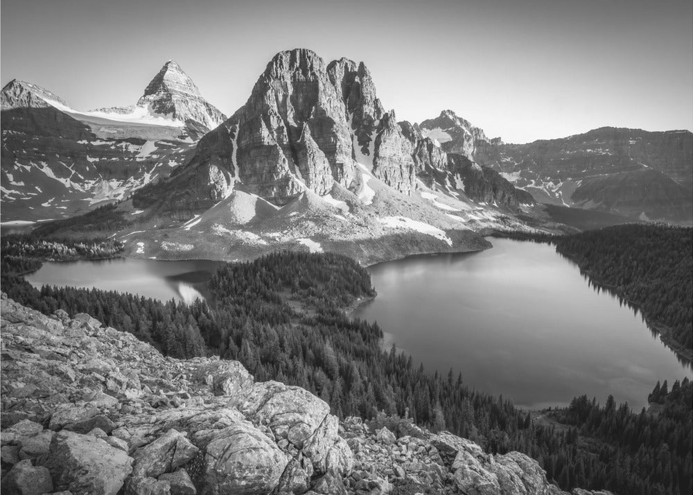 assiniboina | Stampe su Tela