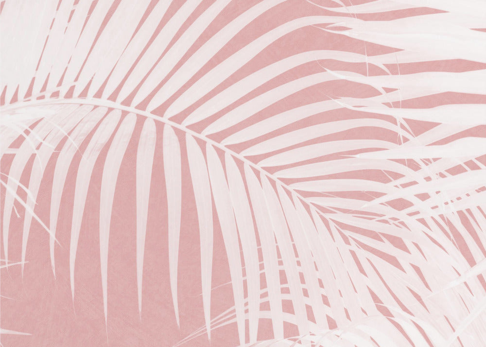 Palmblätter auf rosa Silhouette IV | Fototapeten