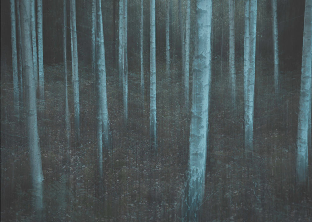 ICM v3 | Canvastaulut