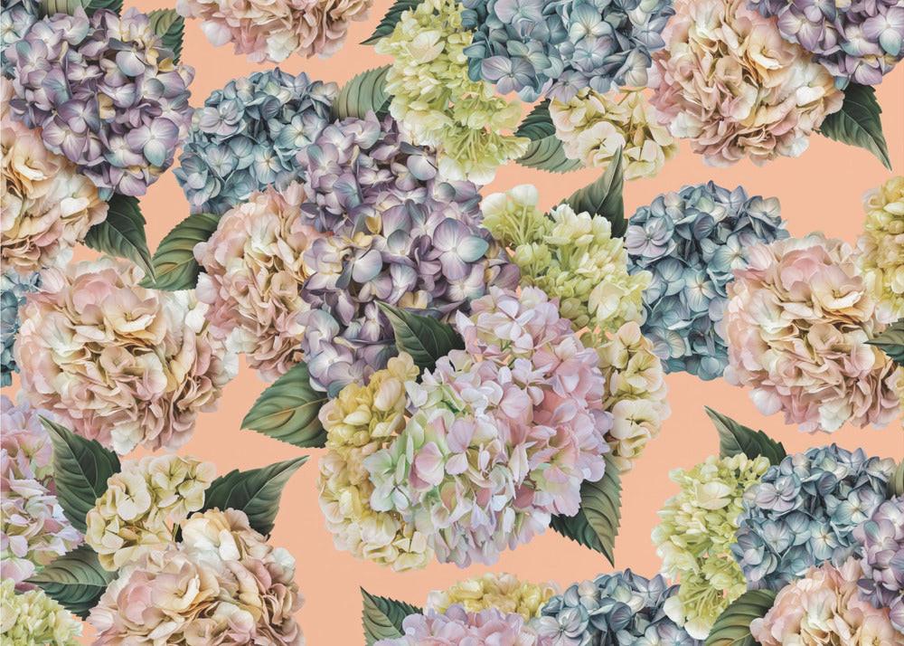 Hortensia's_Peach Fuzz | Fotobehang