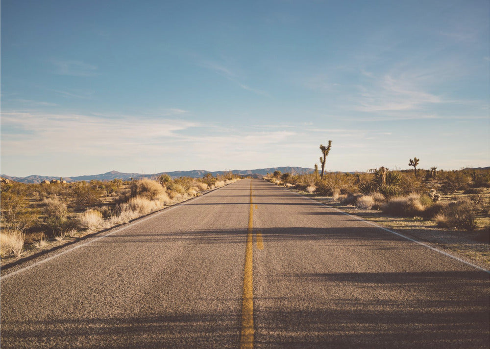 Joshua Tree-veien | Lerretsbilder