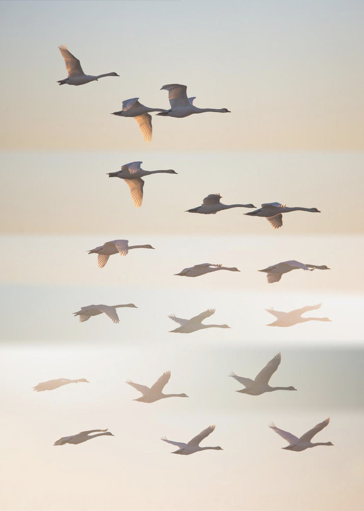 Au-delà du soleil. | Tableaux sur Toile