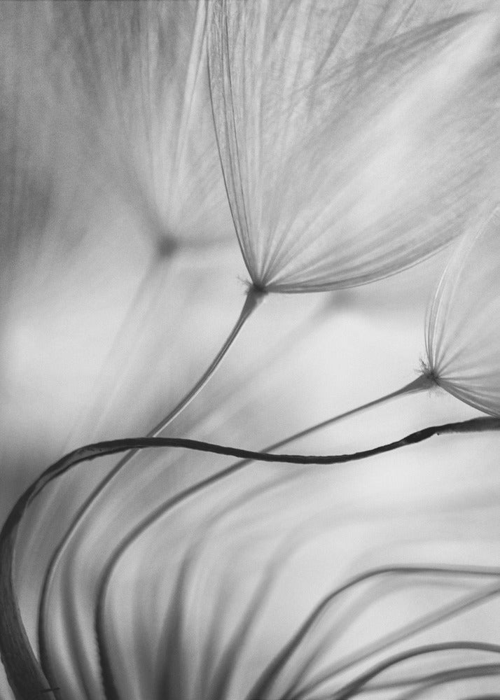 Appuie-toi sur moi | Tableaux sur Toile