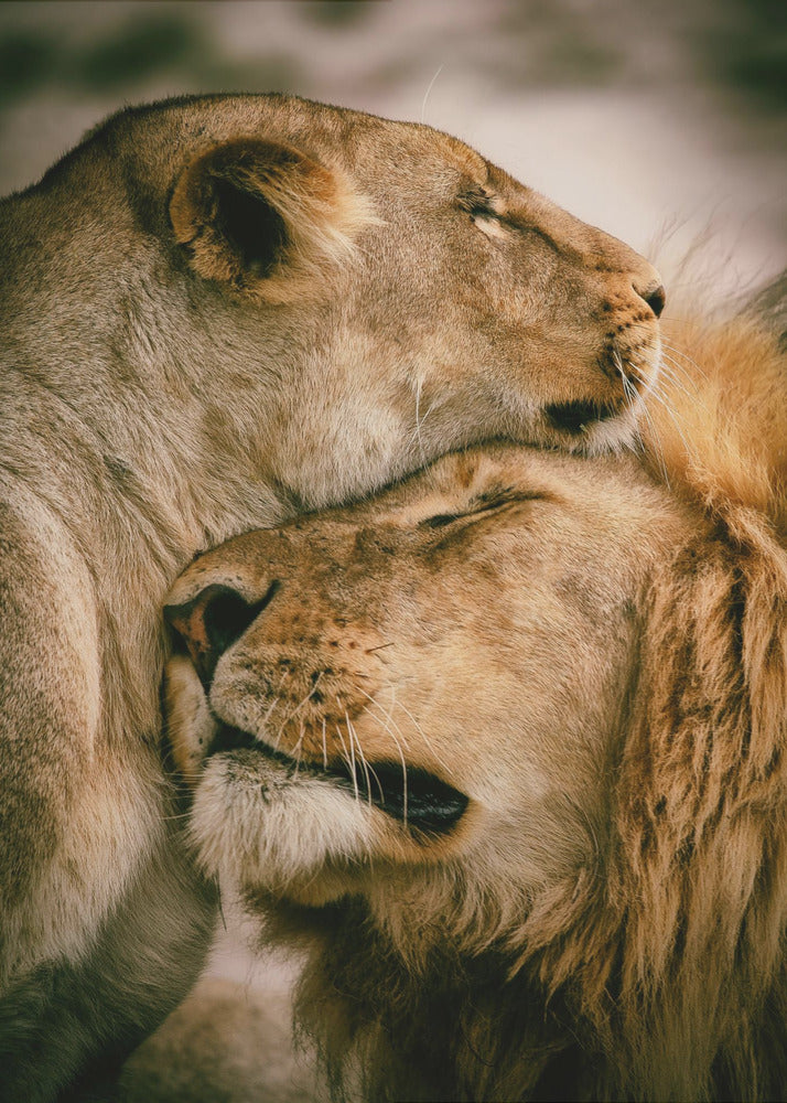 Wat is liefde | Canvasprints