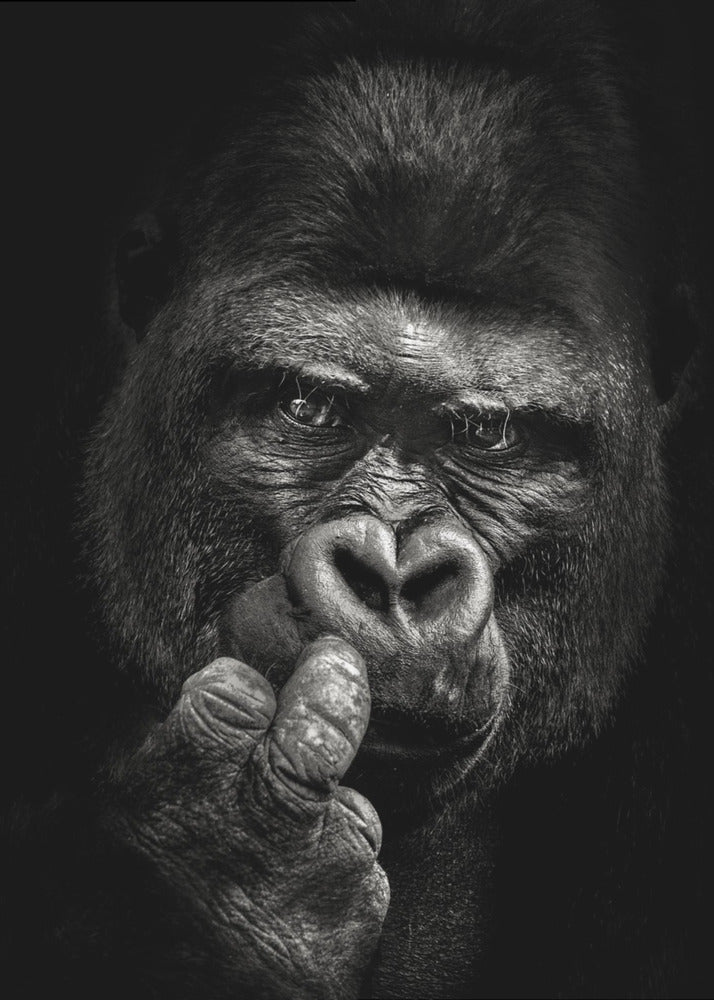 Houding | Canvasprints