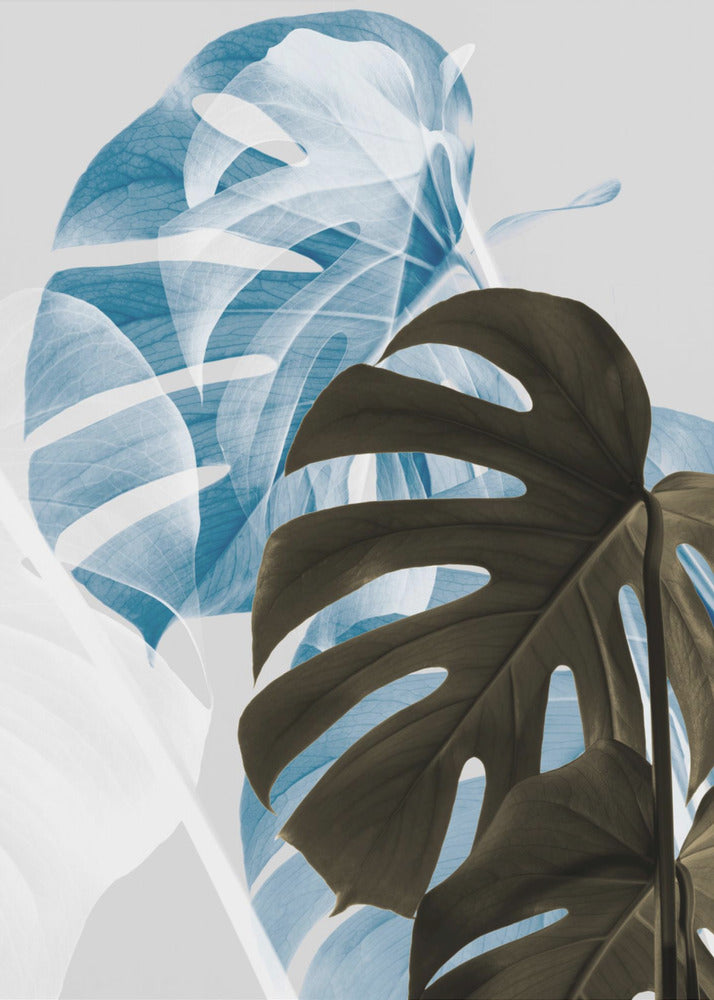 Monstera Creative 02 | Leinwand-Bilder