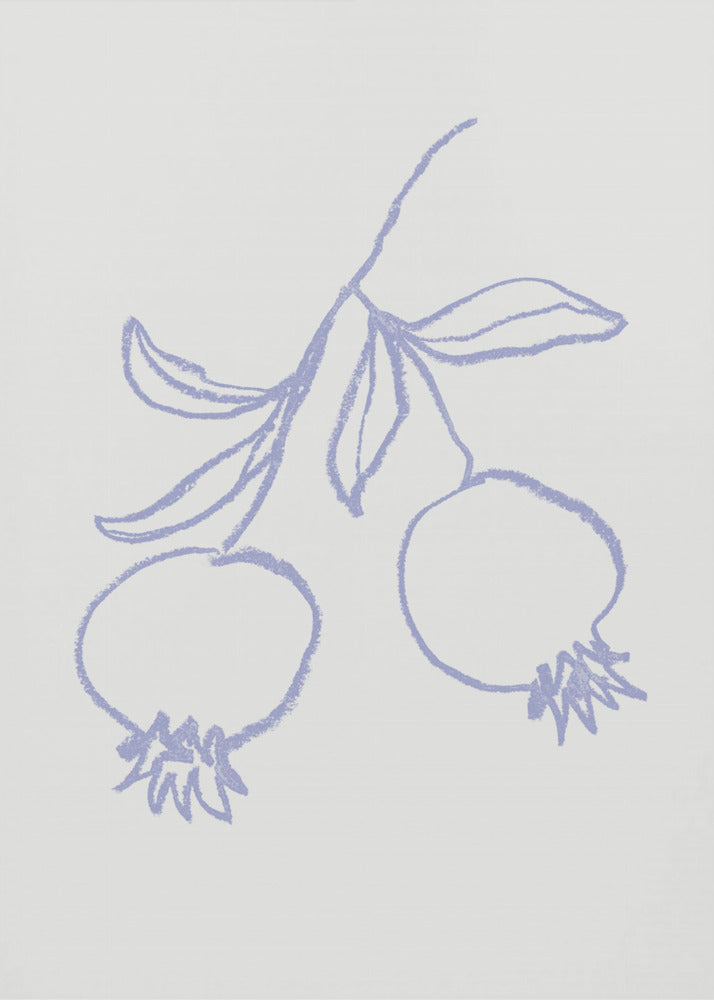 Pomegranate Lilac | Poster