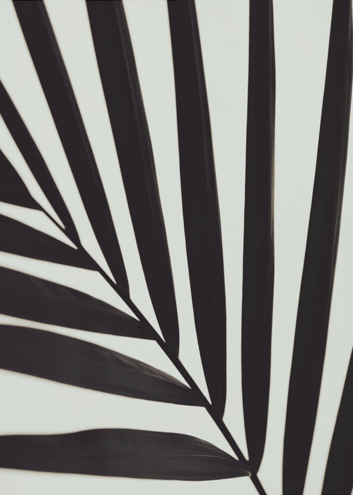 Grafiskt palmblad_1 | Canvas