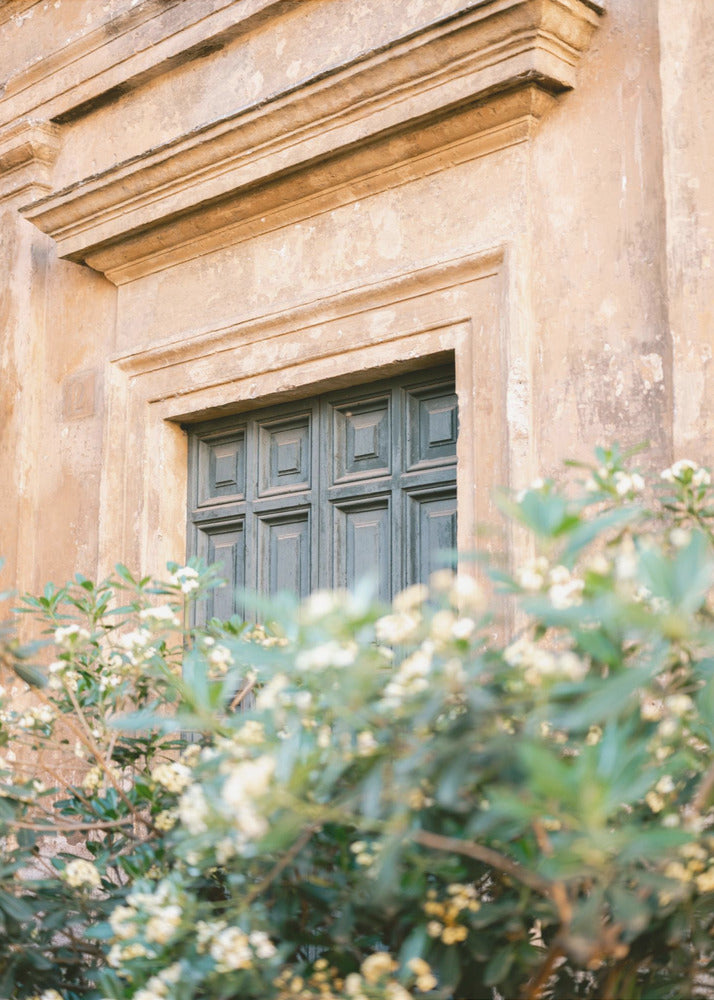 Botaniska Trastevere Rom | Canvastavla