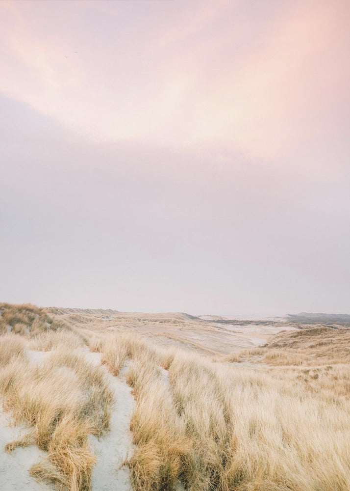Wydmy Ameland 1 | Wydruki na łótnie