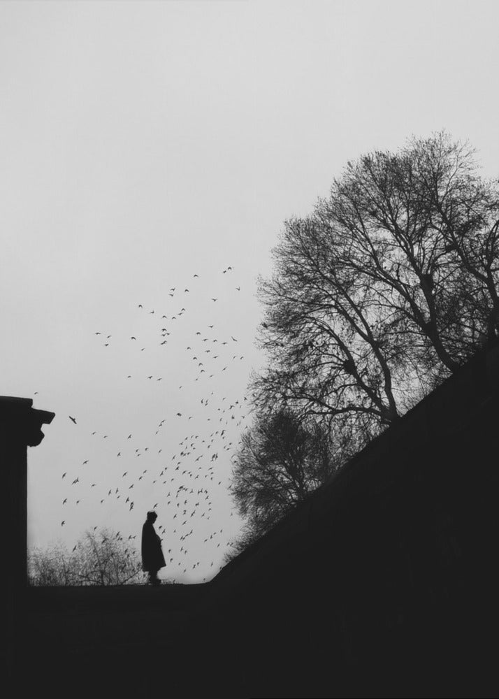 Errie | Tableaux sur Toile