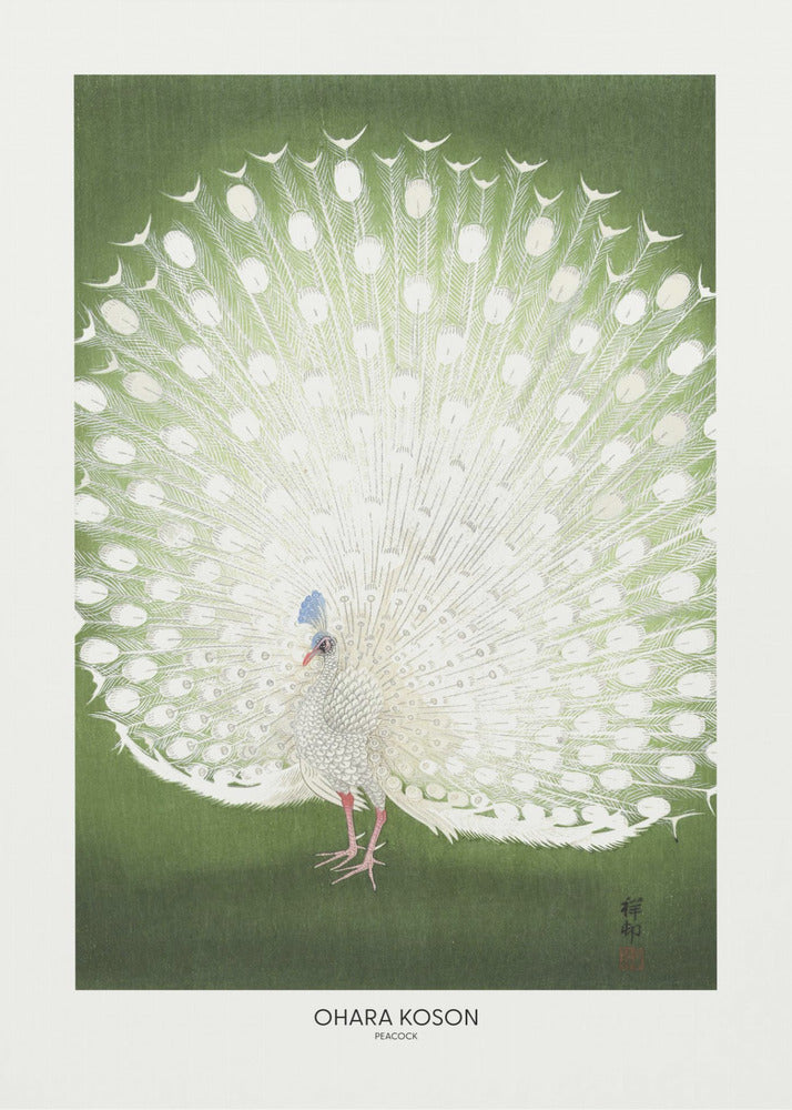 Pfau – Beschnitten | Leinwand-Bilder