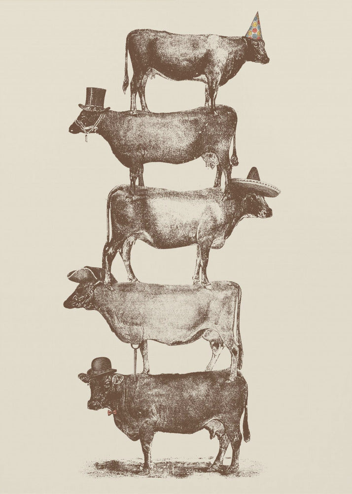 Cow Cow Nuts | Canvas
