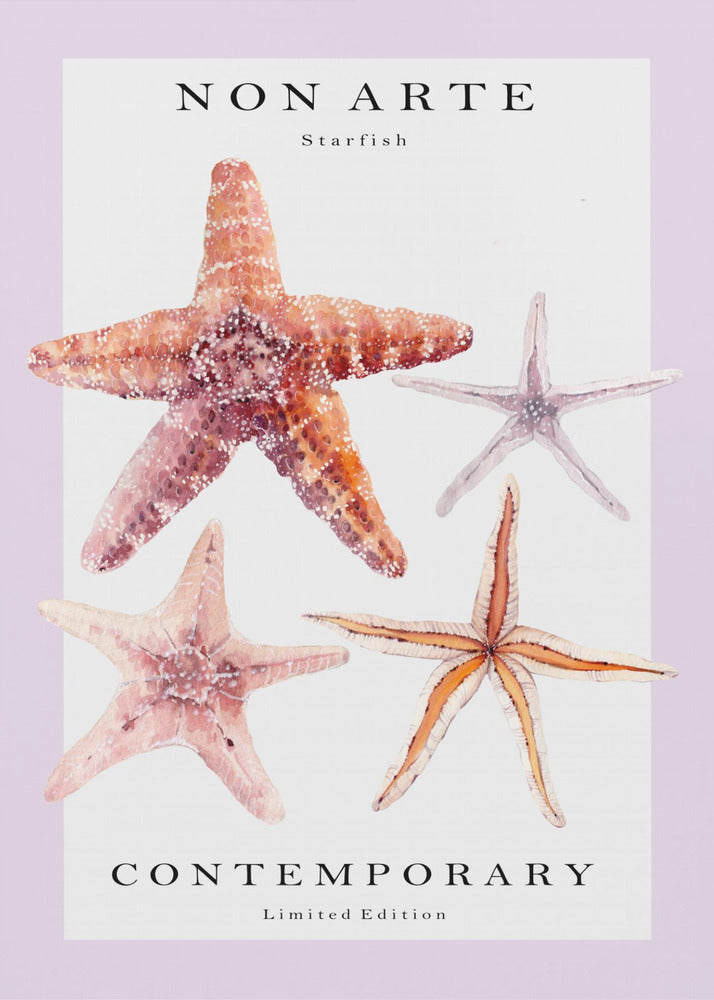 Non Arte Starfish | Stampe su Tela