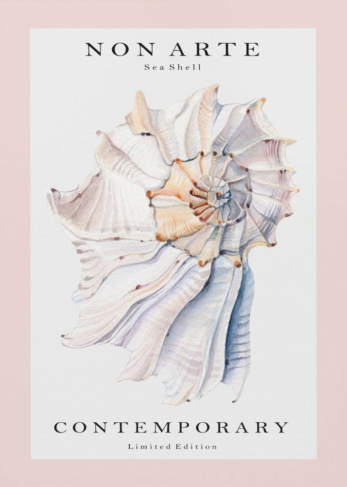 Concha marina no-arte n.º 1 | Impresiones en Lienzo