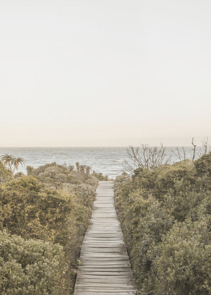 Strandpromenade | Lærredsbilleder