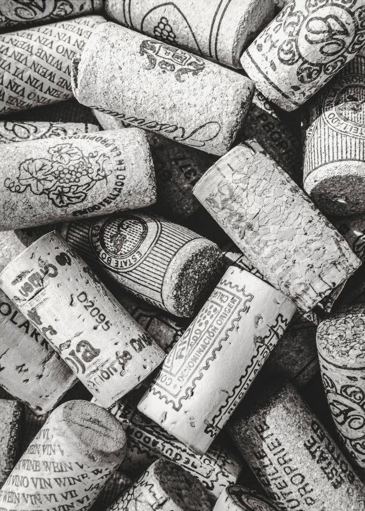 Wein 001 S/W | Leinwand-Bilder