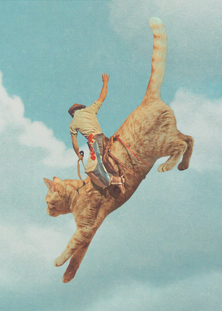 Meehaw Rodio Gato | Impresiones en Lienzo