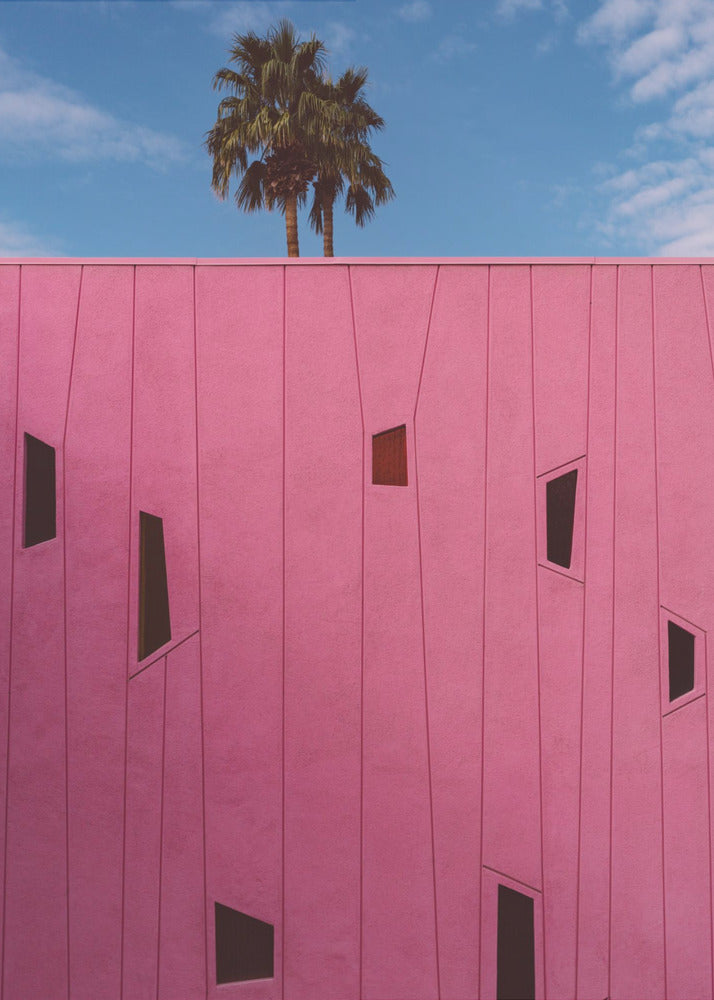 Palm Springs Vibes III | Leinwand-Bilder