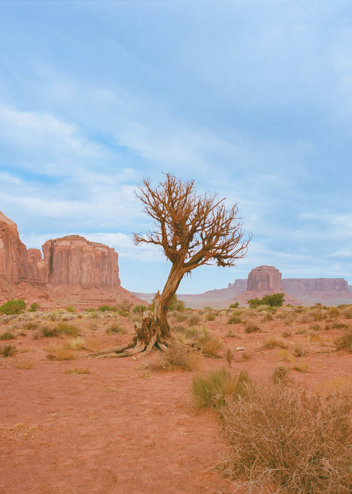 Monument Valley XI | Leinwand-Bilder