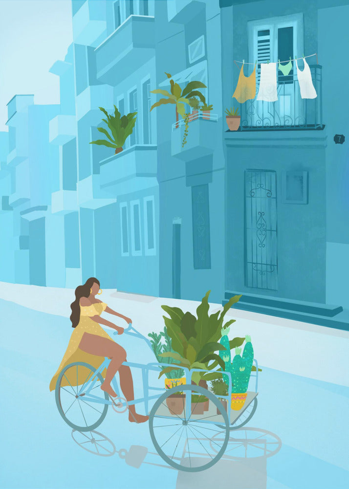 Havana | Lærredsbilleder