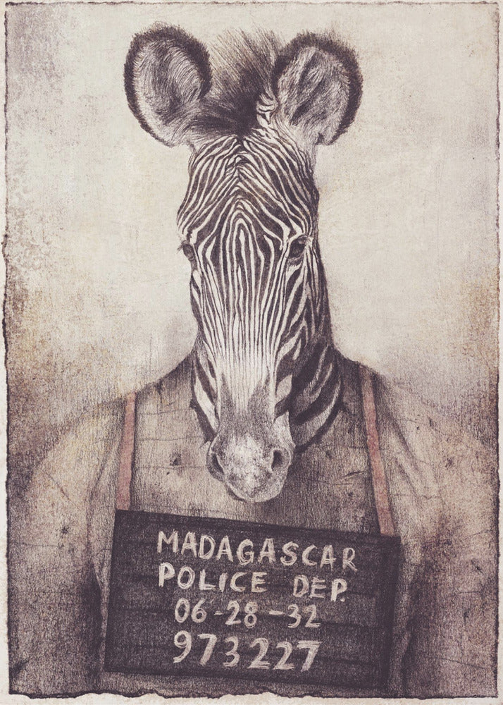 Zebra Mugshot Mysterium | Canvastavla