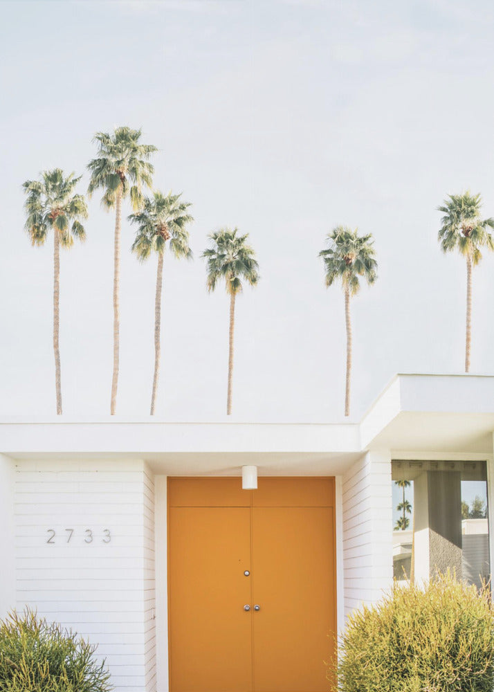 Palm Springs 1 | Wydruki na łótnie