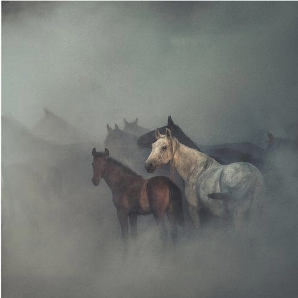 Les chevaux perdus | Tableaux sur Toile