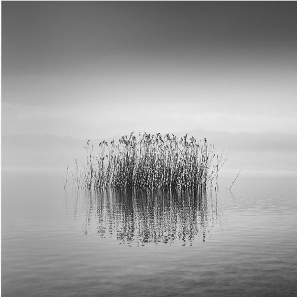 Silenzio in bianco e nero | Stampe su Tela