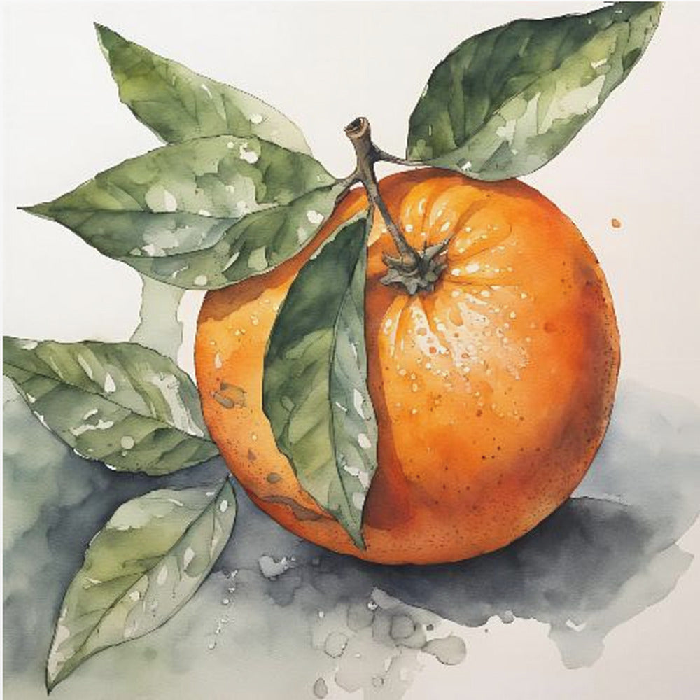 Pomarańczowy, Akwarela, Tusz | Plakaty - Wydruki Artystyczne
