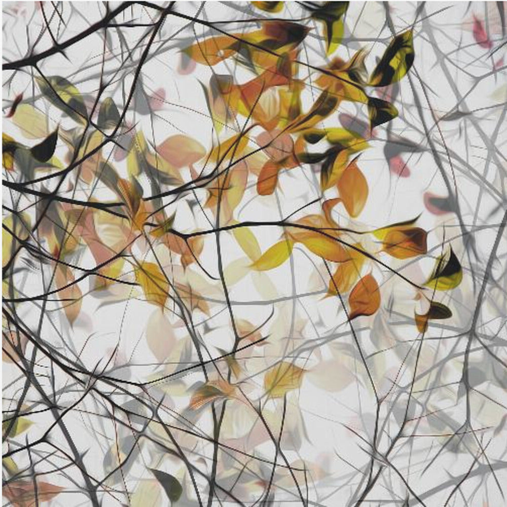 canción de otoño | Impresiones en Lienzo
