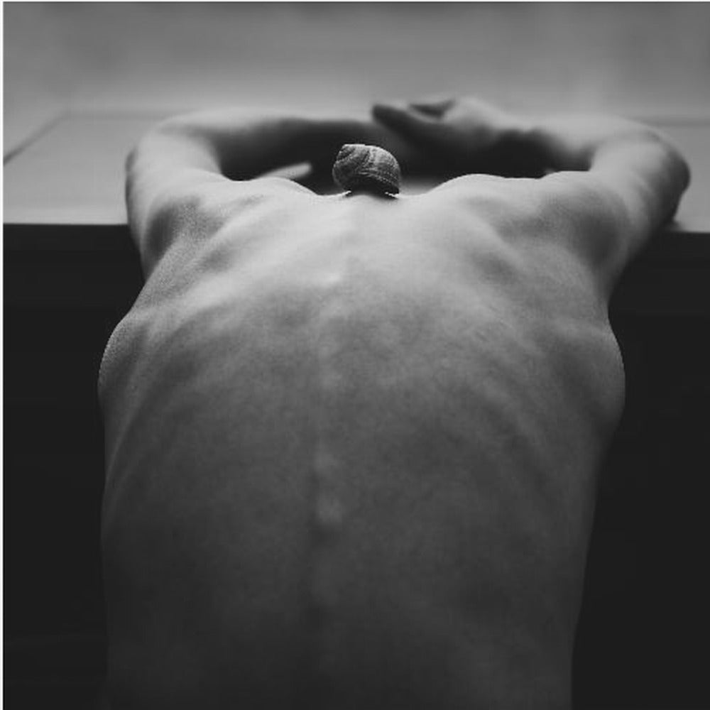 cochlée | Tableaux sur Toile
