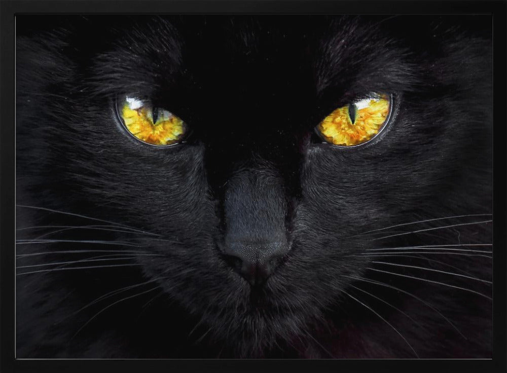 Der Hypnotiseur der Nacht | Poster - Kunstdruck
