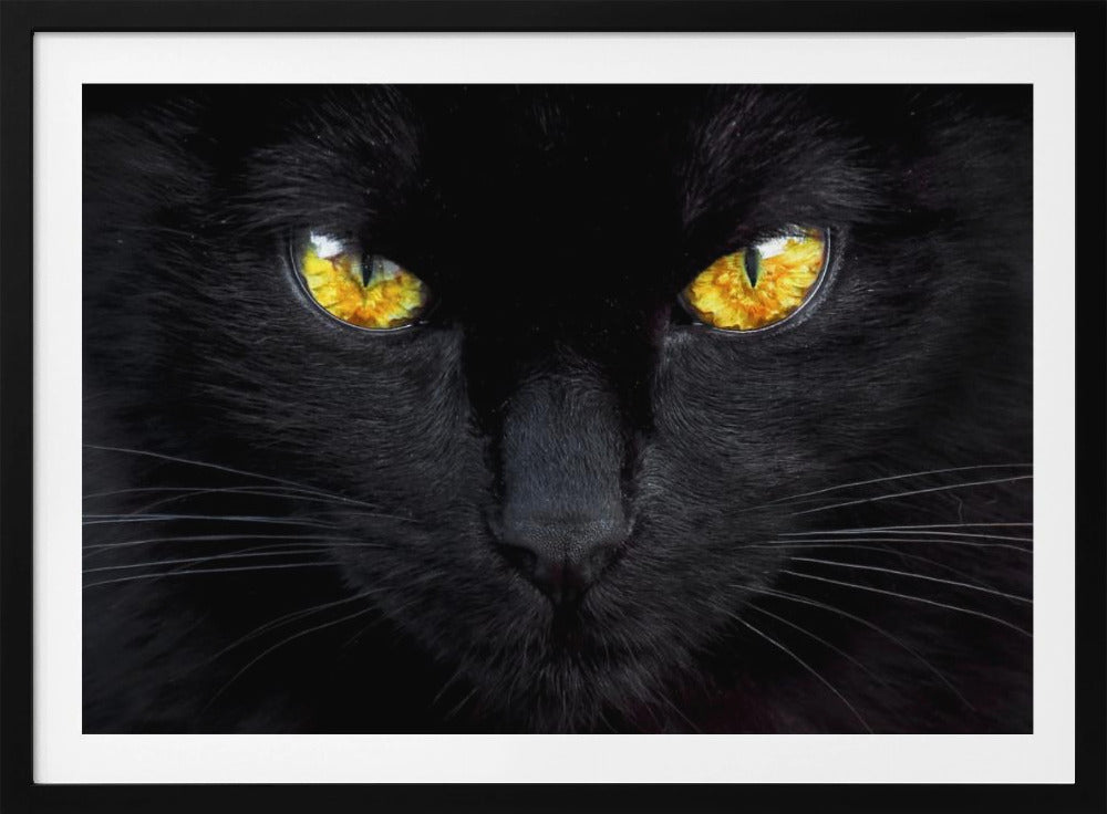 Der Hypnotiseur der Nacht | Poster - Kunstdruck