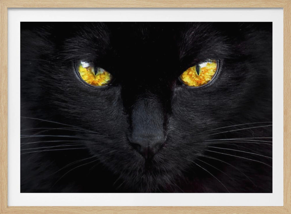 Der Hypnotiseur der Nacht | Poster - Kunstdruck