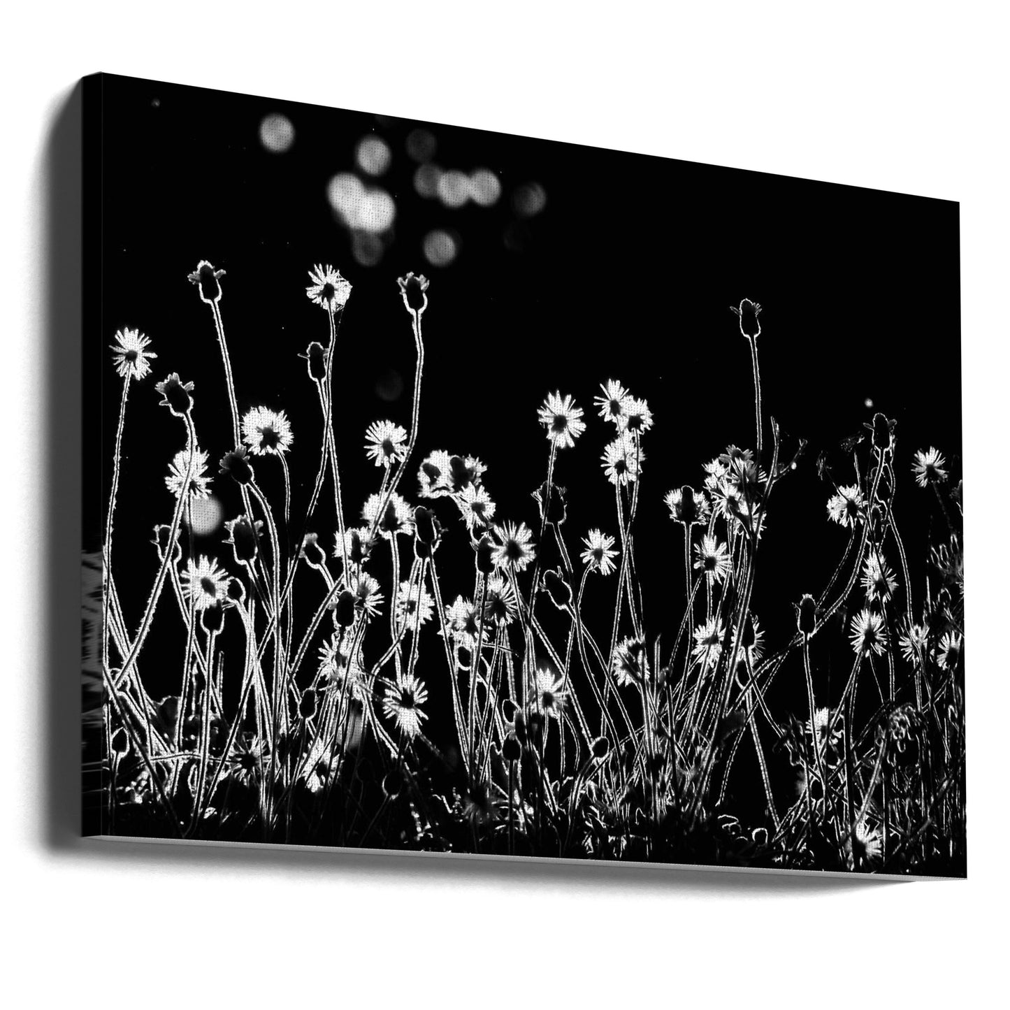 Les Petites Fleurs | Tableaux sur Toile