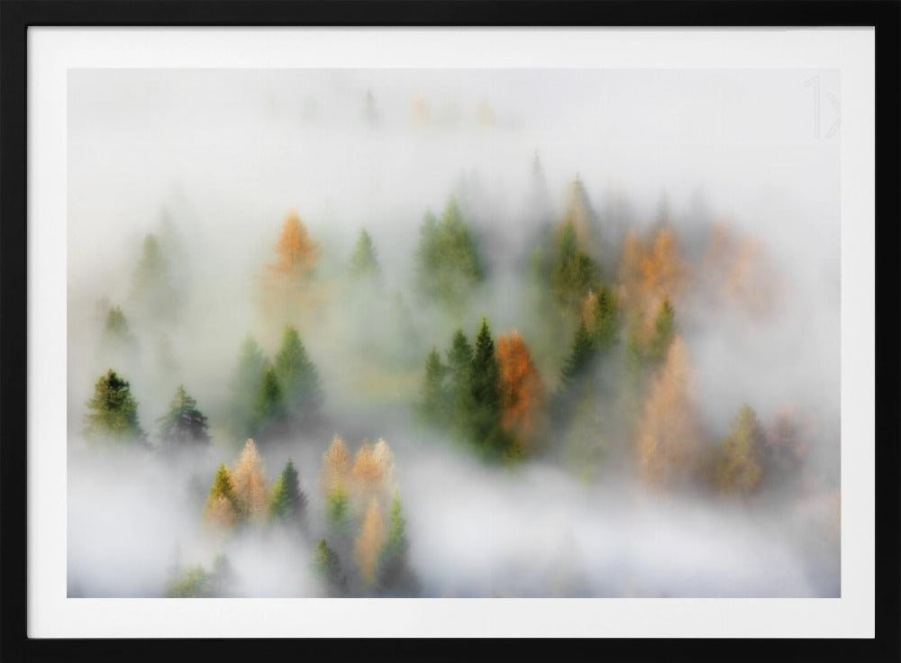 Sogno d'autunno | Poster - Stampe d’Arte
